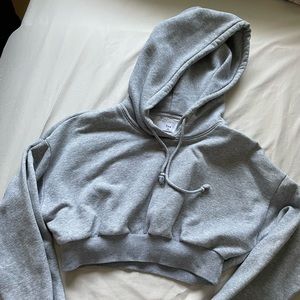 Aritzia TNA cropped hoodie